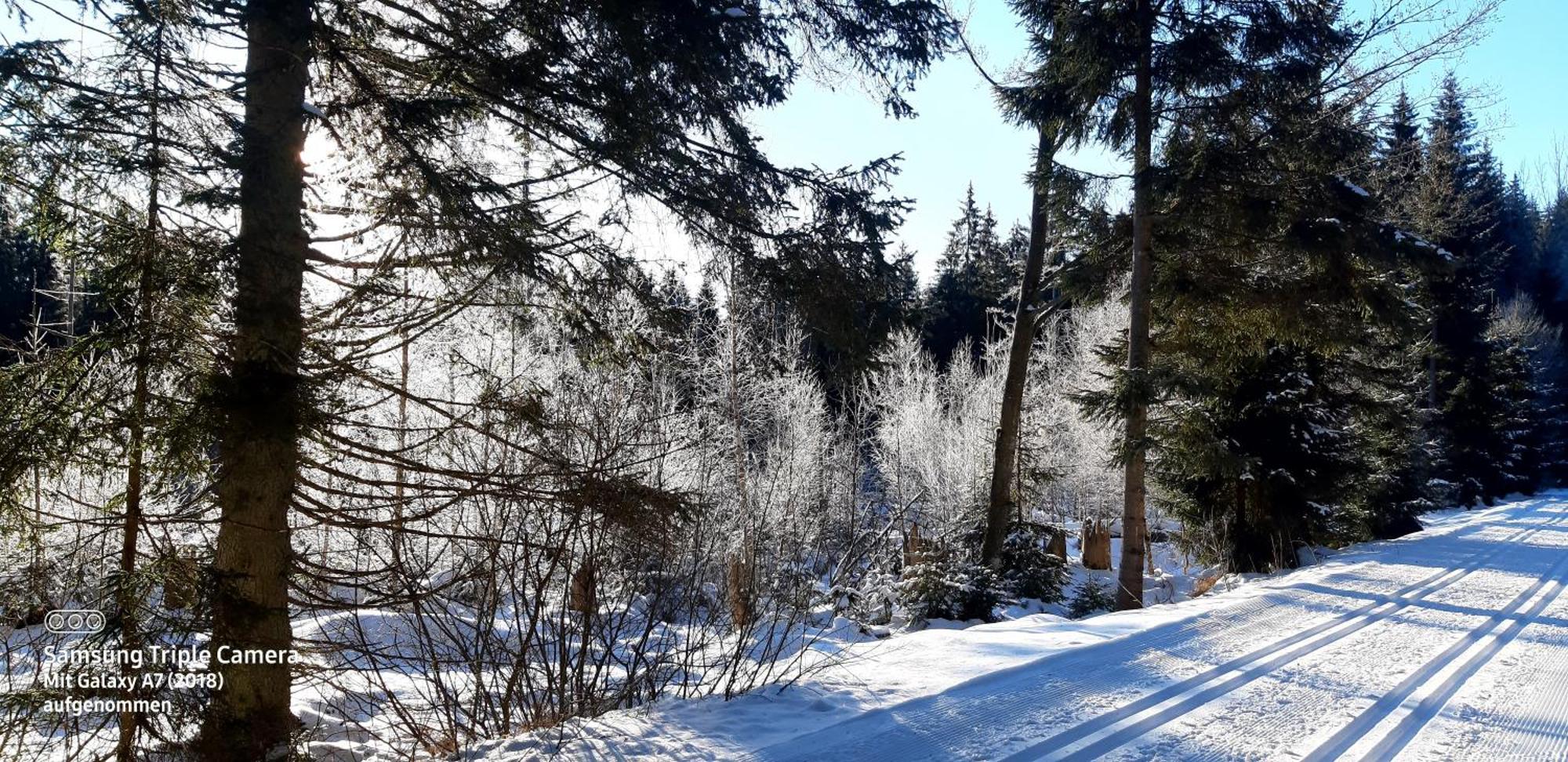 Gaestehaus Am Goldberg Sankt Oswald-Riedlhuette Buitenkant foto